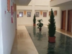 Estudio 